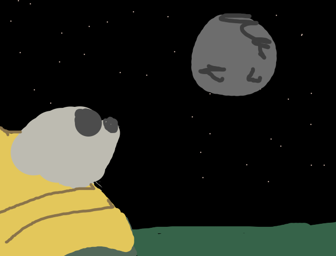 Midnight card artwork